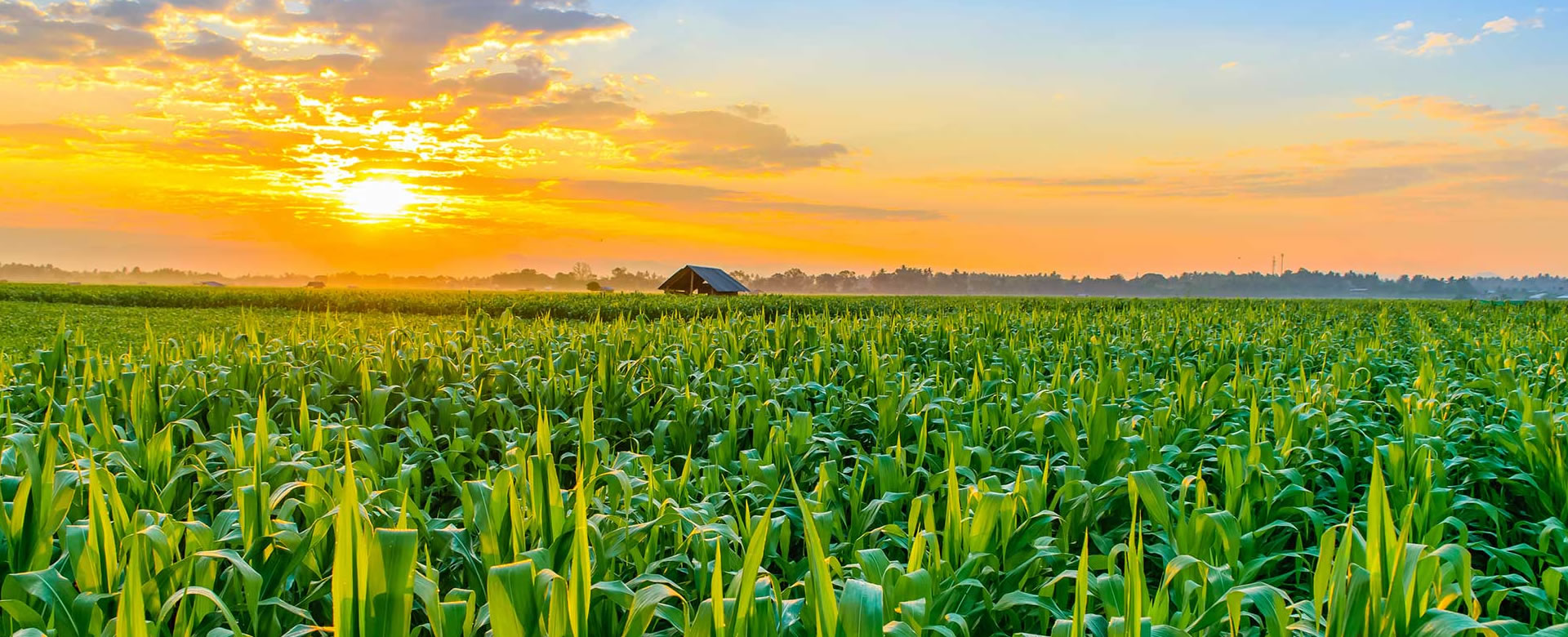 bergama süt toplama merkezi