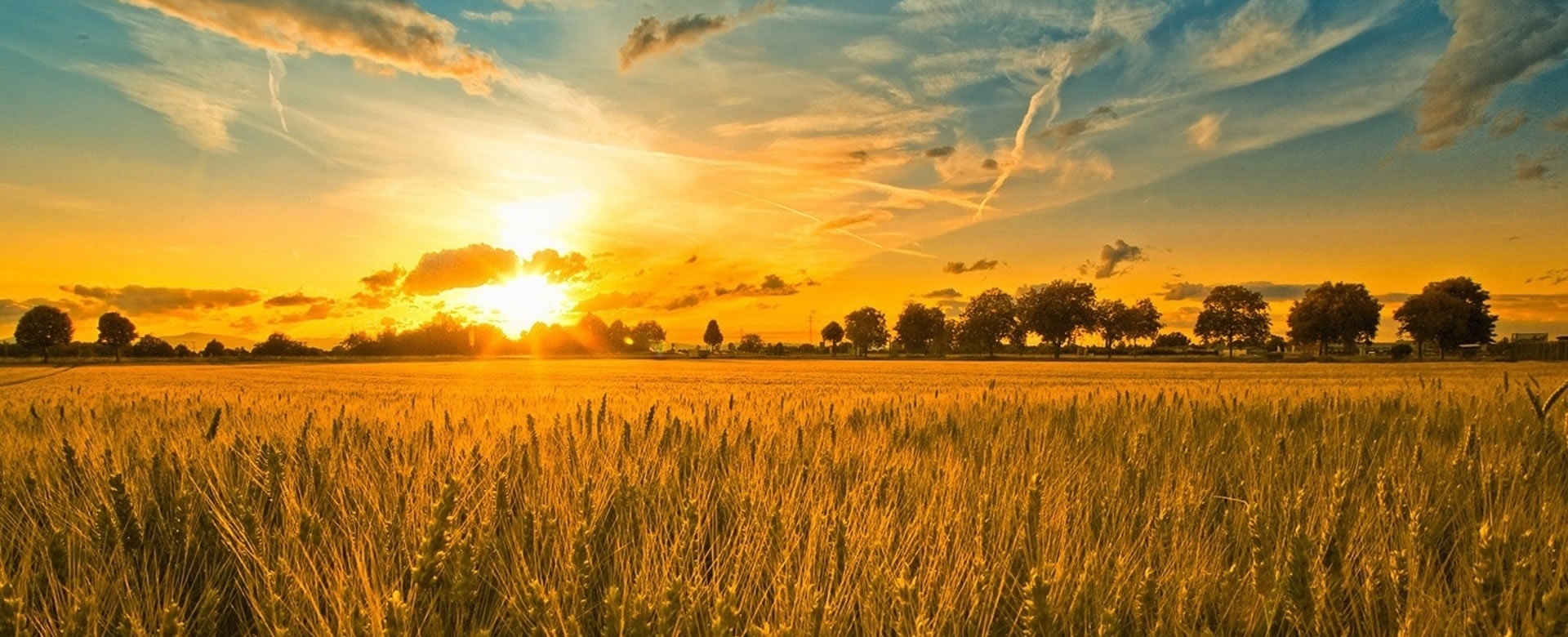 aşağıkırıklar çırçır fabrikası