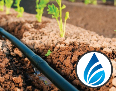 Eurodrip | Damla Sulama Sistemleri